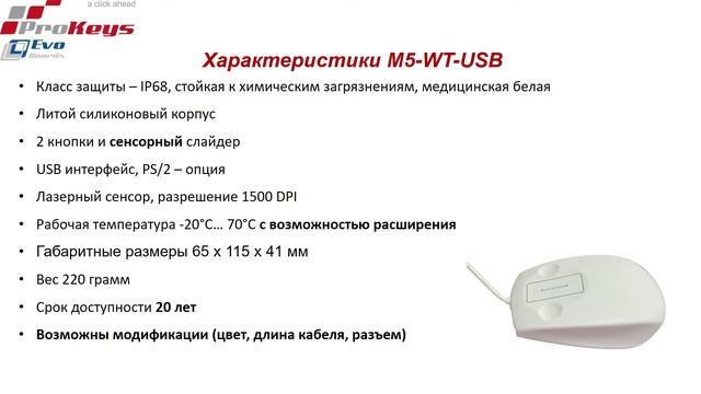 Водонепроницаемая защищенная IP68 мышь M5-WT-USB. Тестирование устройства под водой. смотреть онлайн
