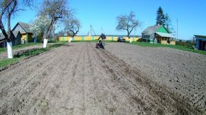 Посадка картошки мотоблоком 2023г