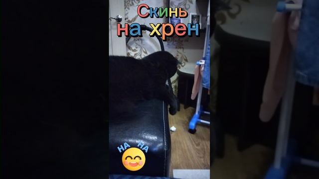 Студия мастерства