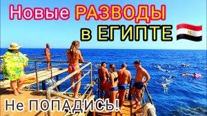 НОВЫЕ РАЗВОДЫ туристов в Египте. Внимание❗️ Как АФЕРИСТЫ ОБМАНЫВАЮТ отдыхающих в Египте