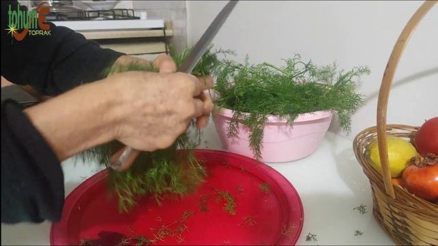 SIRA OTU / Arapsaçı Otu / Foeniculum Vulgare / Yemeği Nasıl Yapılır? / Yenen Yabani Otlar