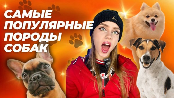 САМЫЕ ПОПУЛЯРНЫЕ ПОРОДЫ СОБАК В РОССИИ