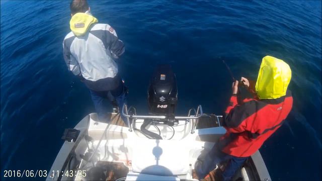 Slow jigging flat fish (ヒラメ) Камбала слоу джиг июнь 2016 смотреть онлайн