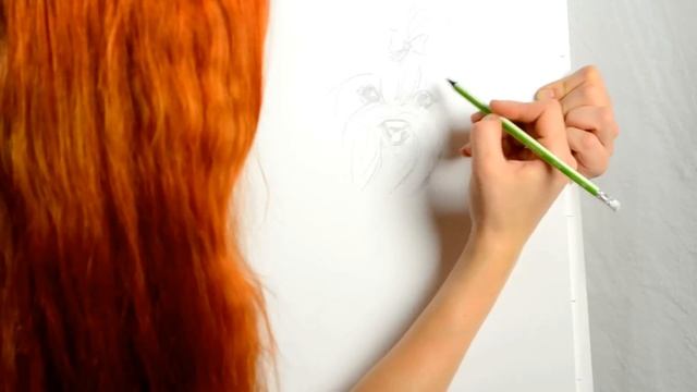 Рисуем йорка / draw a Yorkshire Terrier смотреть онлайн