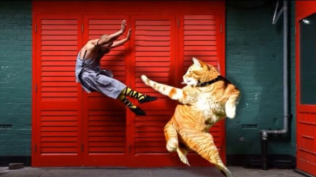 Лучшие картинки сделанные в фотошопе / The best pictures made in Photoshop смотреть онлайн