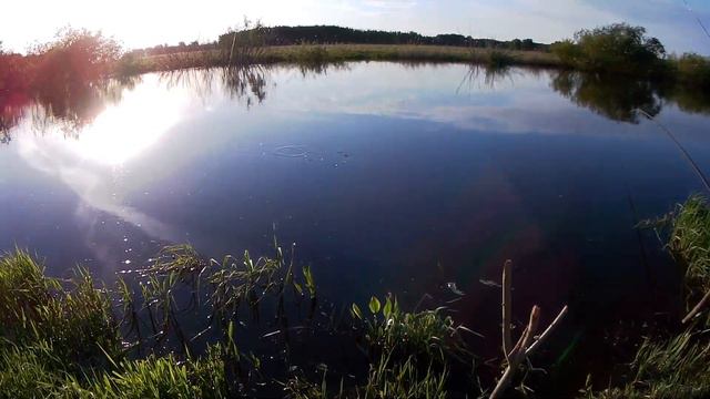 Рыбалка на поплавочную удочку, судак атакует червя!!! смотреть онлайн
