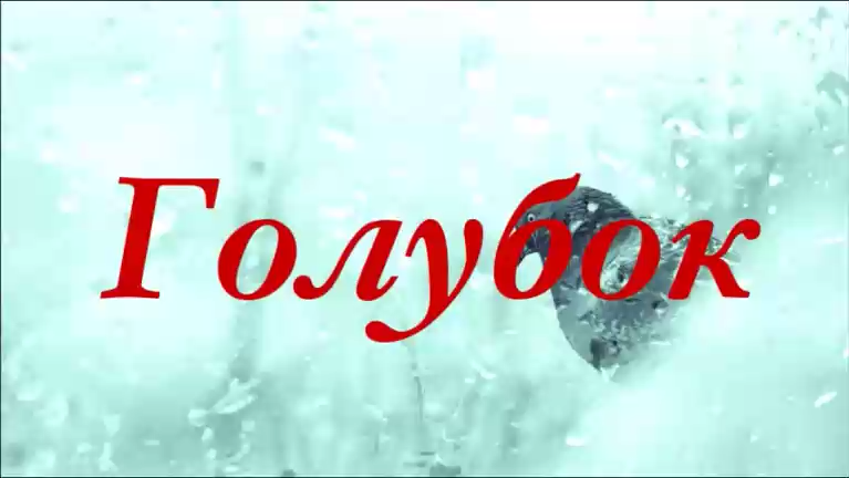 Голубок Стихи Ирина Нармонтене