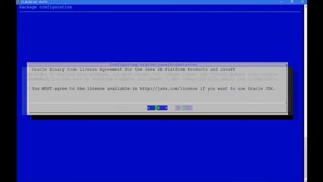 How to install Oracle JAVA 10 on Debian смотреть онлайн