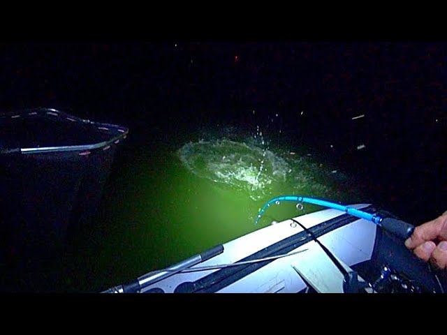 ДИКИЕ ПАРОВОЗЫ РВУТ ЗАКИДУШКИ!!! НЕЗАБЫВАЕМАЯ РЫБАЛКА НА САЗАНА И СОМА! смотреть онлайн