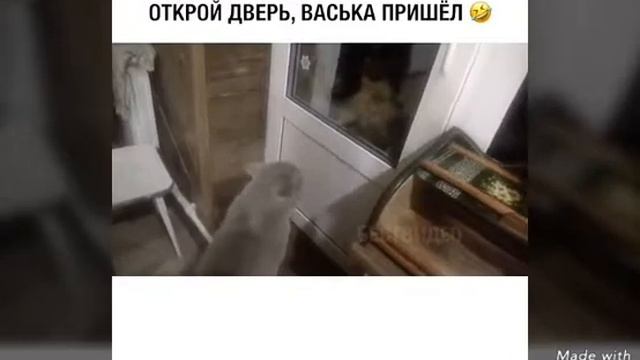Тест на психику кто засмеётся тот псих! Улыбнулся с тебя лайк и подписка! смотреть онлайн