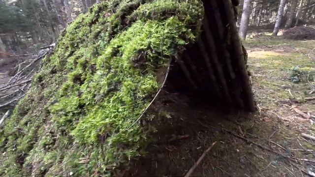Build a Survival Shelter From a Fallen Tree - Bushcraft Skills - Overnight Solo Camping смотреть онлайн