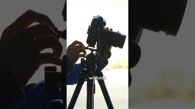 This camera accessory is the best photography purchase I've ever made... смотреть онлайн