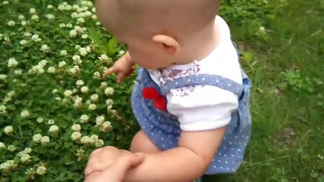 клевер смотреть онлайн