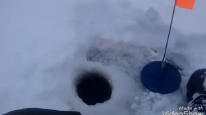 Зимняя рыбалка 2018 . Жерлицы  на тюльку .бывает и так !!!.