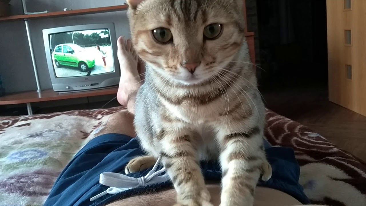 22 января 2020 г. смотреть онлайн