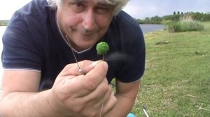 Как насадить БОЙЛ pop up   без волоса, Быстро и просто!