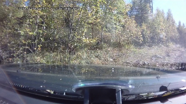 За орехом смотреть онлайн