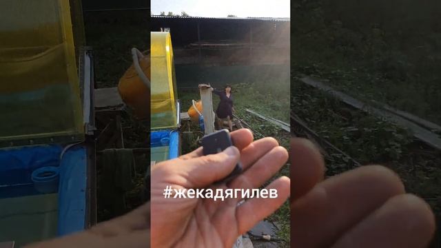 откатной навес над бассейном ?✊ смотреть онлайн