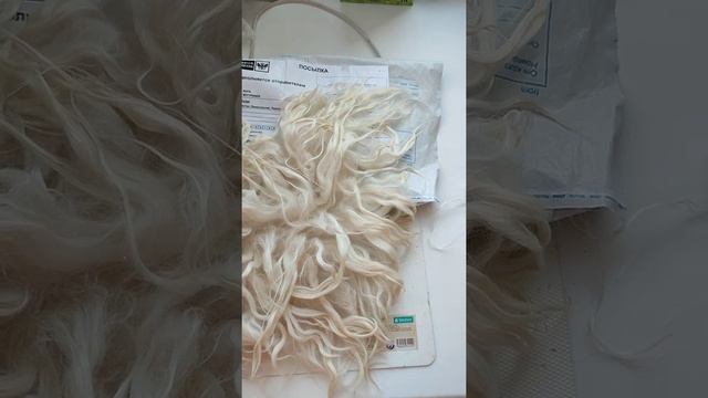 обработка шкурки ангорской козы часть1 смотреть онлайн