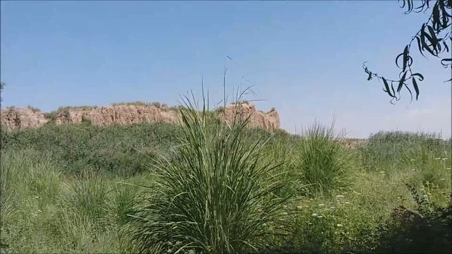 ТАШ МОРЕ. ДАЧА. Отдых на природе. смотреть онлайн