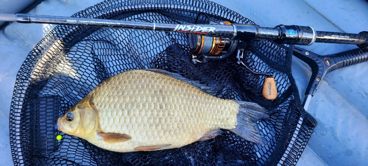 Зарисовки микроджигита. Карась на микроджиг смотреть онлайн