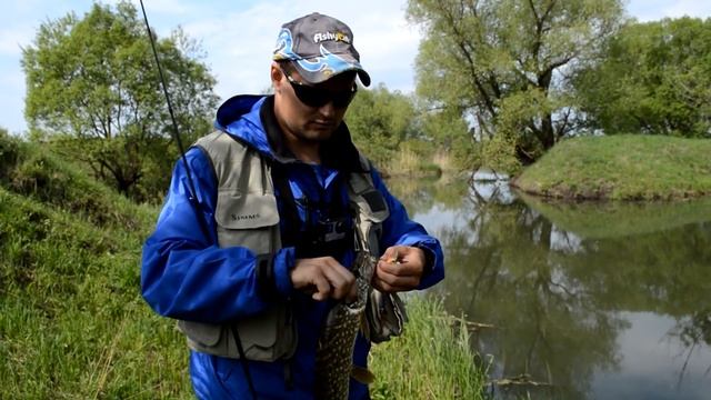 ТВИЧИНГ Щуки на Степной реке!!! Клюёт Злющая Щука на ВОБЛЕР! смотреть онлайн