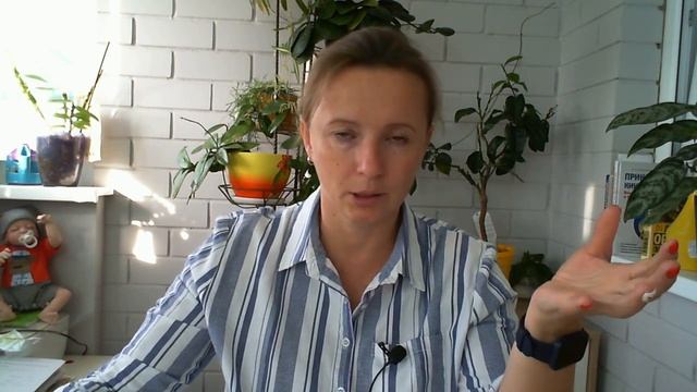 Введение прикорма. Часто задаваемые вопросы о питании детей. смотреть онлайн