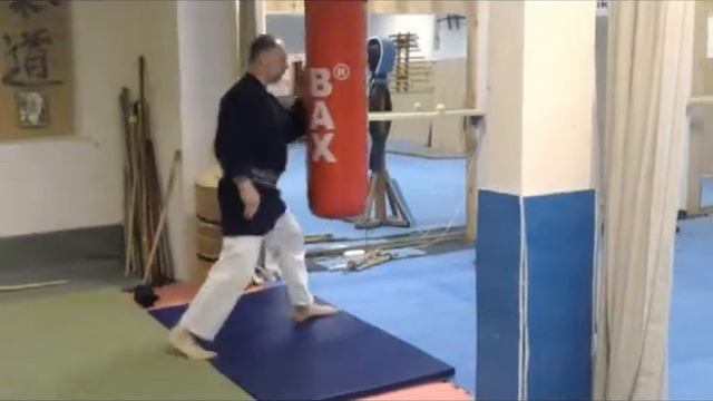 Ударная техника в айкидо - отработка входов на мешке смотреть онлайн
