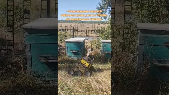 Робот-пчеловод с Искусственным Интеллектом. Автоматизация робот на пасеке. смотреть онлайн
