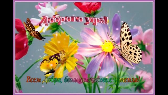 Доброе утро Марина Алиева Подари Любовь смотреть онлайн