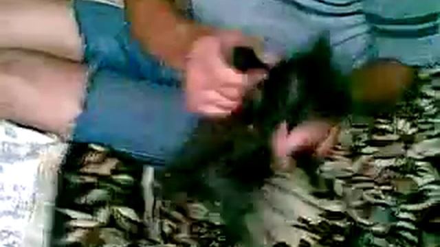 Прикол танцующая кошка смотреть онлайн