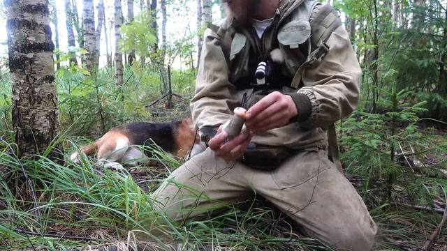 Поход За Грибами с Жориком! Дары Матушки Природы.4К смотреть онлайн