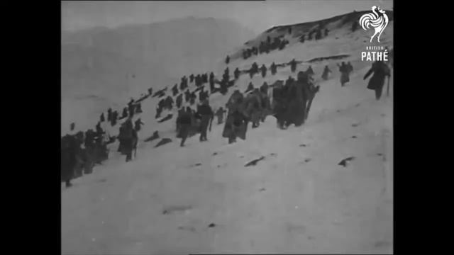 Галицийские поля ( Брала Русская бригада )