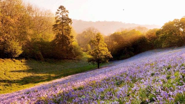 Piano music Noel Hart Madden Murillo Asa Morrison Raelynn Harris Hanna Noble смотреть онлайн