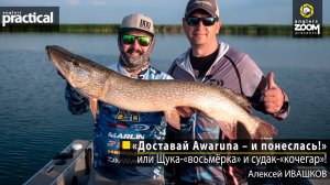 Рыбалка «Доставай Awaruna – и понеслась!», или Щука-«восьмёрка» и судак-«кочегар»! Алексей Ивашков