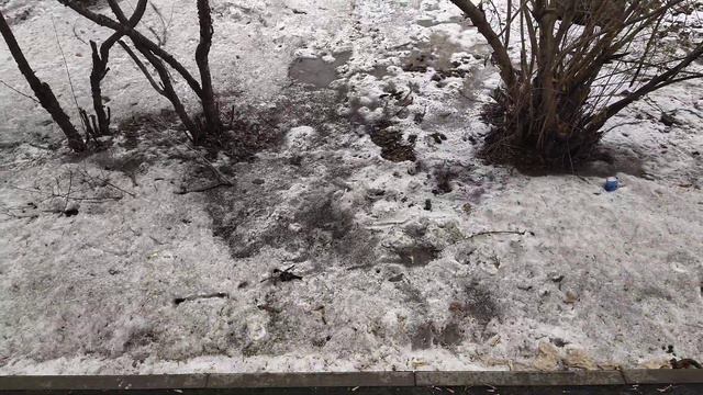 ВИД ИЗ МОЕГО ОКНА! ШИКАРНЫЙ ВИД! БОЮСЬ ВЫХОДИТЬ НА УЛИЦУ!!!! смотреть онлайн