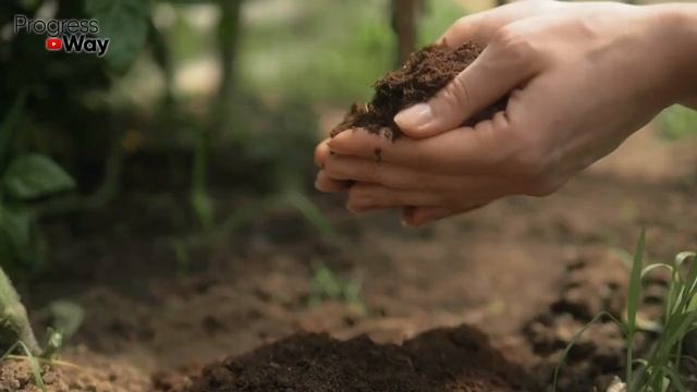 ГОТОВИМ ГРЯДКУ ПОД ЛУК! СДЕЛАЙТЕ ЭТО ПРИ ПОСАДКЕ ЛУКА ДЛЯ БОЛЬШОГО УРОЖАЯ!!! смотреть онлайн