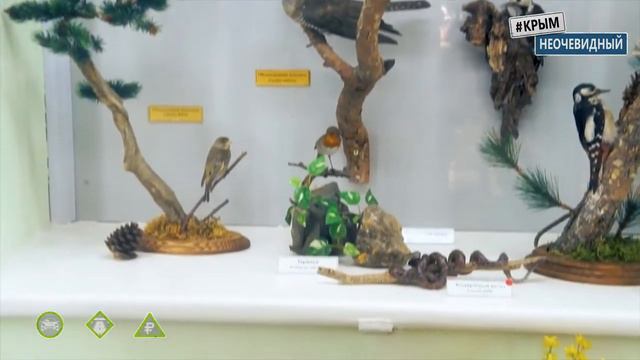 #КрымНеОчевидный Музей истории и природы Карадага смотреть онлайн