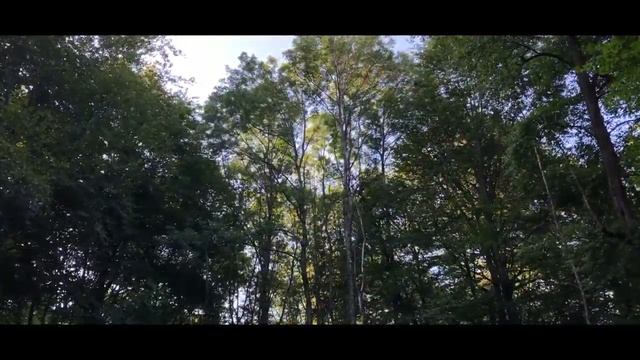 КРАСИВАЯ ПРИРОДА АДЫГЕИ ЛЕС смотреть онлайн