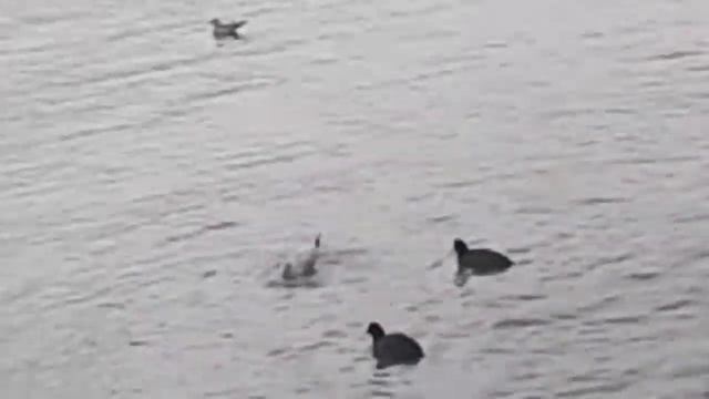 Иссык Куль зимой смотреть онлайн