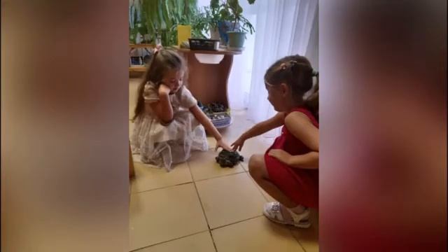 ЗООТЕРАПИЯ смотреть онлайн