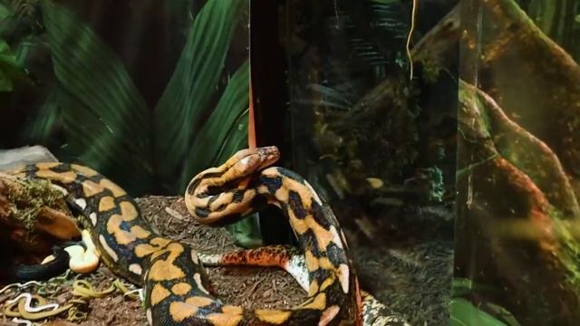 Самая Опасная Квест-Комната в Мире! смотреть онлайн