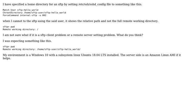 SFTP pwd command option to show full path of the current remote working directory смотреть онлайн