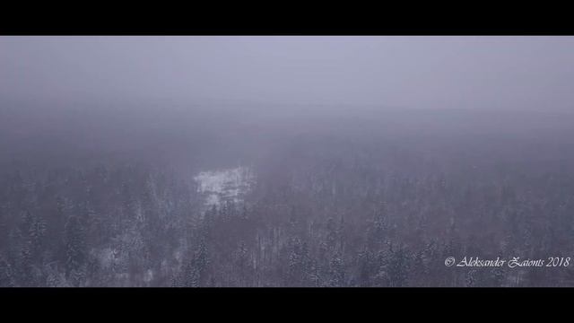 Зимний лес смотреть онлайн