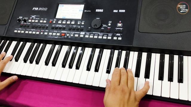 Dholak Kherwa | KORG PA-300 | Rhythm Demo смотреть онлайн