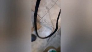 Рено Логан. Необычный случай двигатель к4м загнул все клапана. ГРМ ремень целый