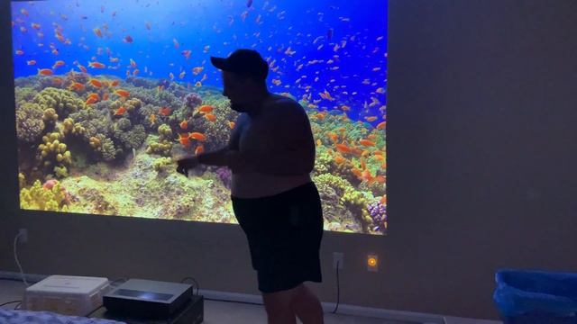 WeMax Nova 4k Projector !!!!