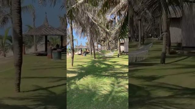 Pandanus resort смотреть онлайн