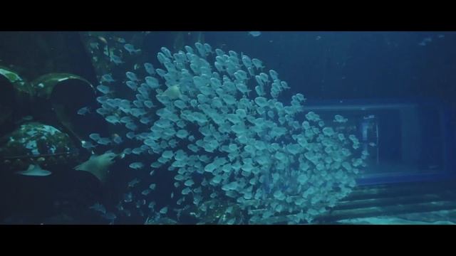 Atlantis, Hainan [Атлантис Санья, Хайнань (аквапарк)] смотреть онлайн