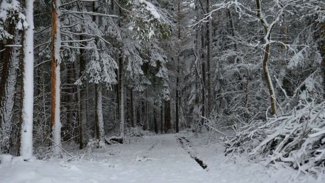 Друг познаётся в беде. Интересные истории из жизни людей. Аудио рассказы. смотреть онлайн